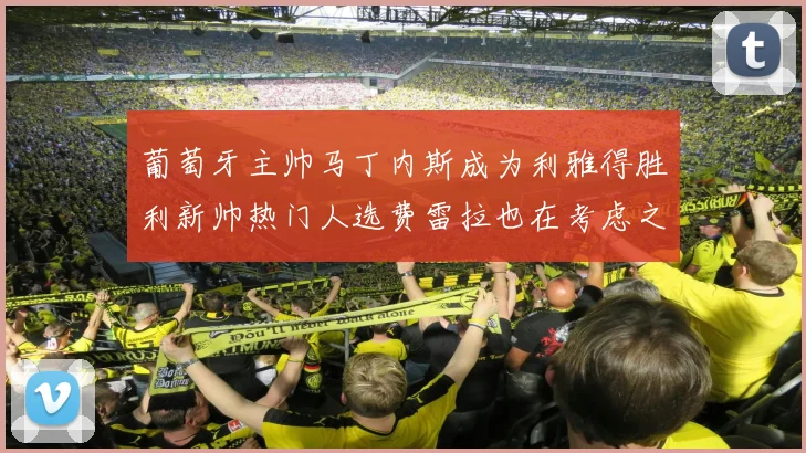 葡萄牙主帅马丁内斯成为利雅得胜利新帅热门人选费雷拉也在考虑之中