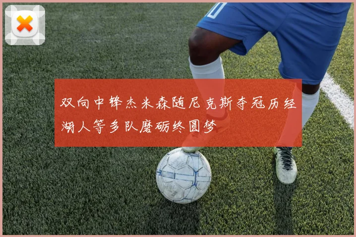 双向中锋杰米森随尼克斯夺冠历经湖人等多队磨砺终圆梦