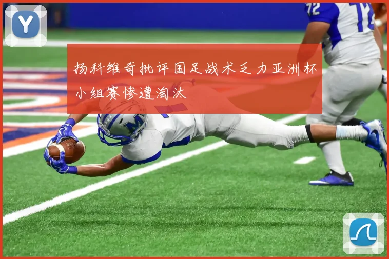 扬科维奇批评国足战术乏力亚洲杯小组赛惨遭淘汰